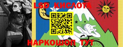 гидропоника Можга