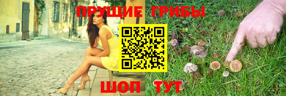 Псилоцибиновые грибы Psilocybe  Вход с VPN  Верхний Уфалей 